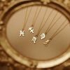 HOROSCOPE NECKLACE 
