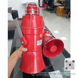  D1xC1X05FAC230AB1A1R/R  Đèn còi chống cháy nổ E2S Vietnam, Đại Lý E2S Việt Nam 