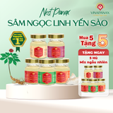  Mix nhiều vị - Combo Sâm Ngọc Linh Yến sào Nest Panax hỗ trợ ngủ ngon, bồi bổ cơ thể hũ 70ml (Yến sào 35%) 