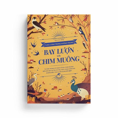  Tung Cánh Trong Không Trung - Bay Lượn Với Chim Muông 