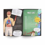 Cơ Thể Người Vui Nhộn: Trái Tim Tươi Vui Và Hệ Tuần Hoàn