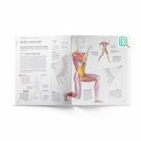 Khoa Học Về Chạy Bộ