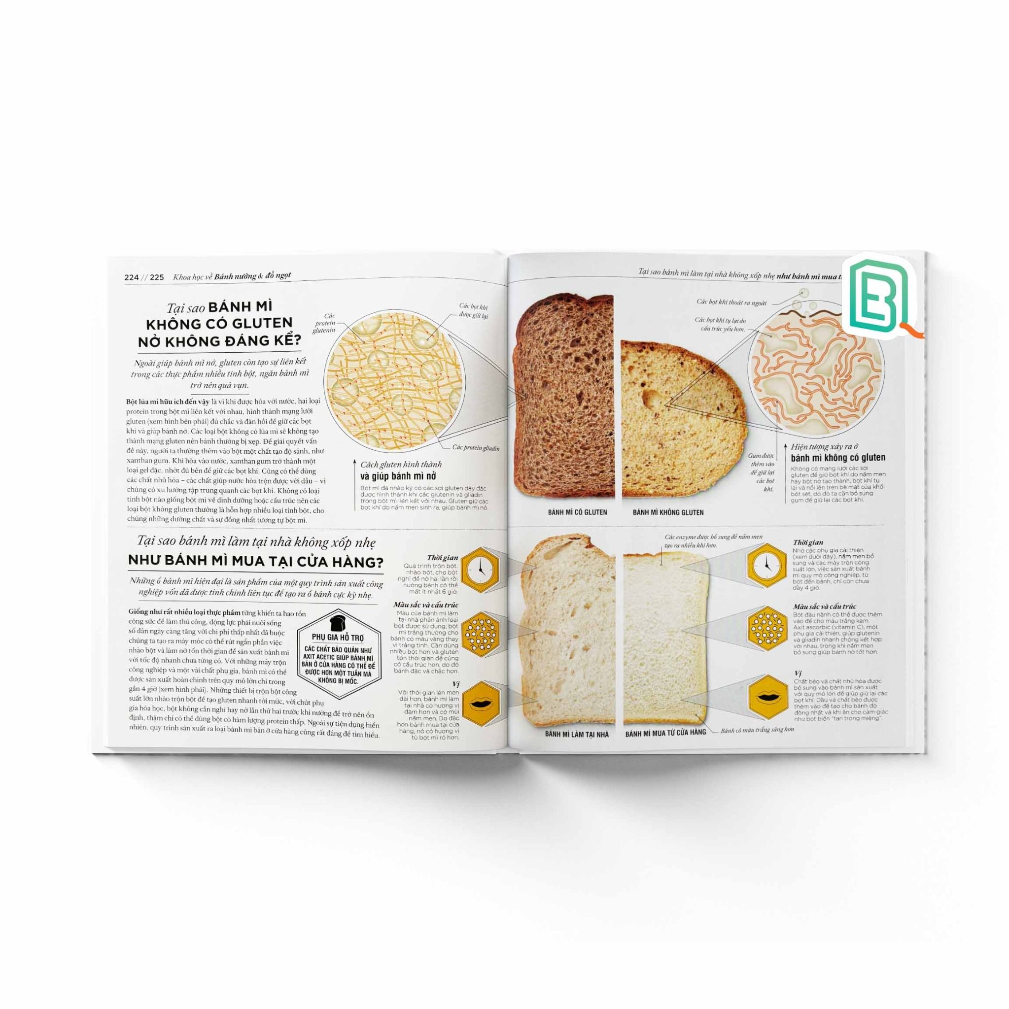 Khoa Học Về Nấu Ăn