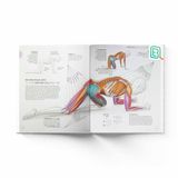 Khoa Học Về Chạy Bộ