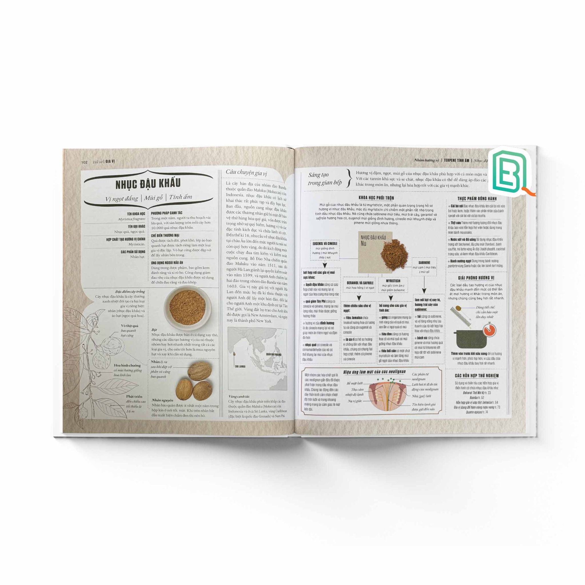 Khoa Học Về Gia Vị