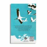 Lịch Sử Sinh Hoạt Của Loài Người - Bay Lượn