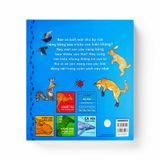 Bọ Rùa Nặng Chừng Nào?