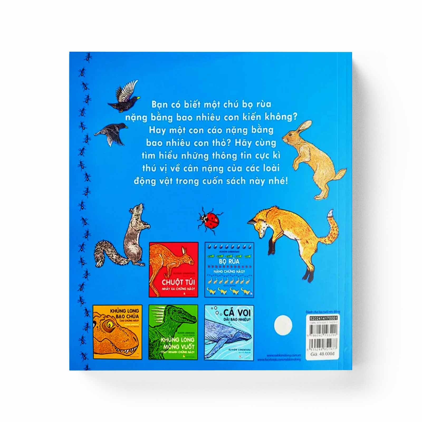 Bọ Rùa Nặng Chừng Nào?