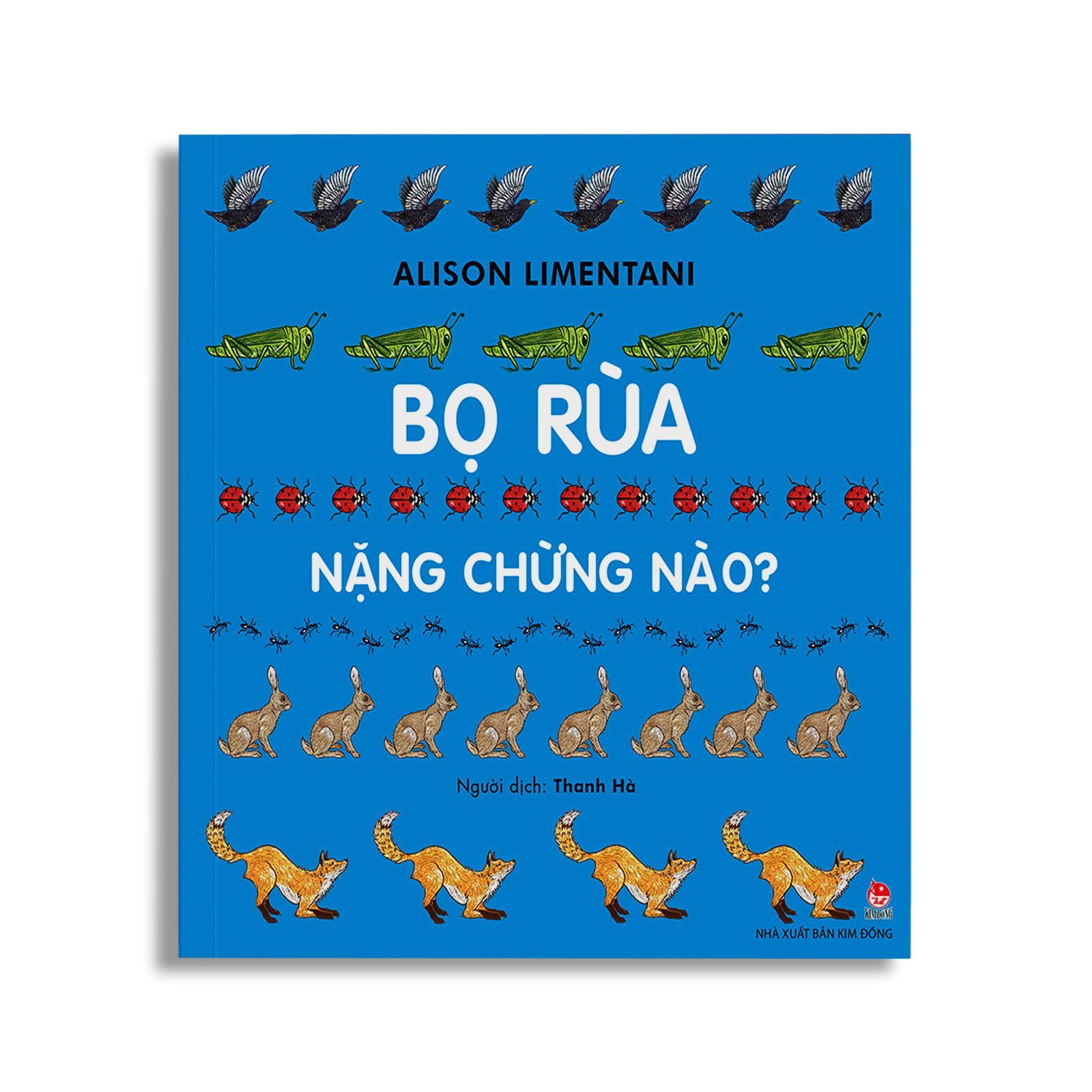 Bọ Rùa Nặng Chừng Nào?