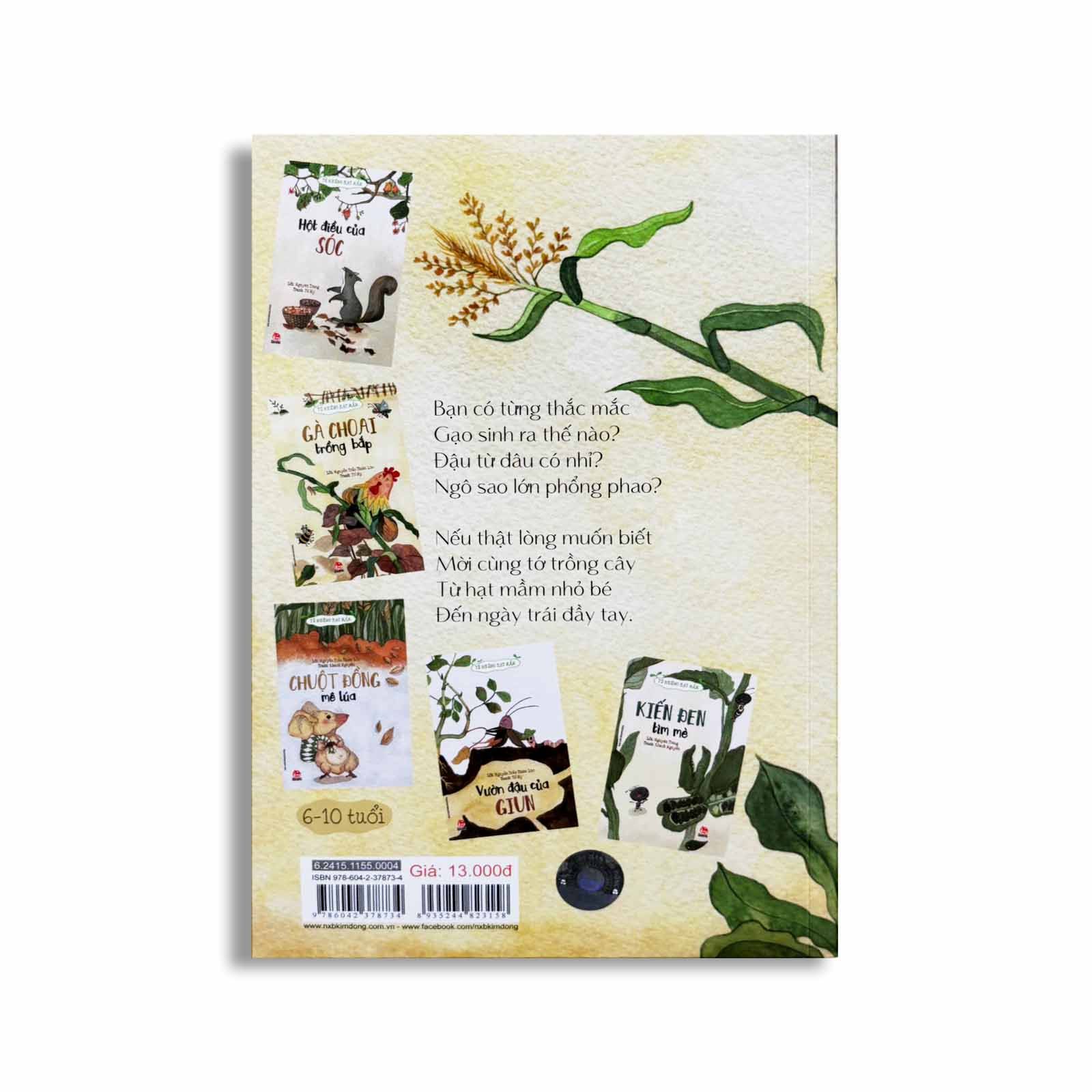 Từ Những Hạt Mầm - Gà Choai Trồng Bắp