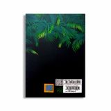 Nguyễn Ngọc Tư - Ngọn Đèn Không Tắt