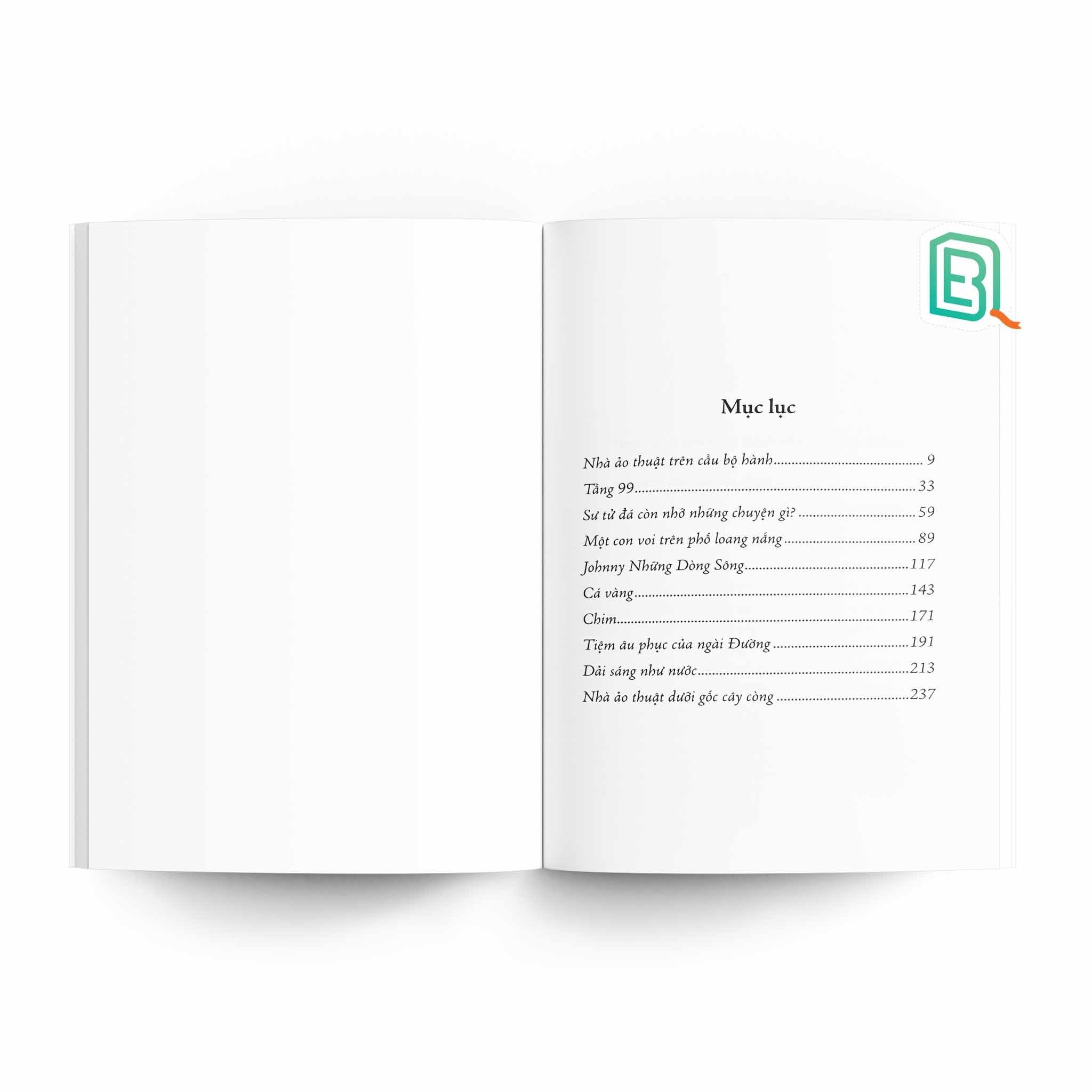 Nhà Ảo Thuật Trên Cầu Bộ Hành