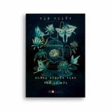 Những Chuyện Tình Thế Kỷ Mới