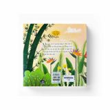 Cổ Tích Việt Nam Cho Bé - Sự Tích Hoa Mào Gà