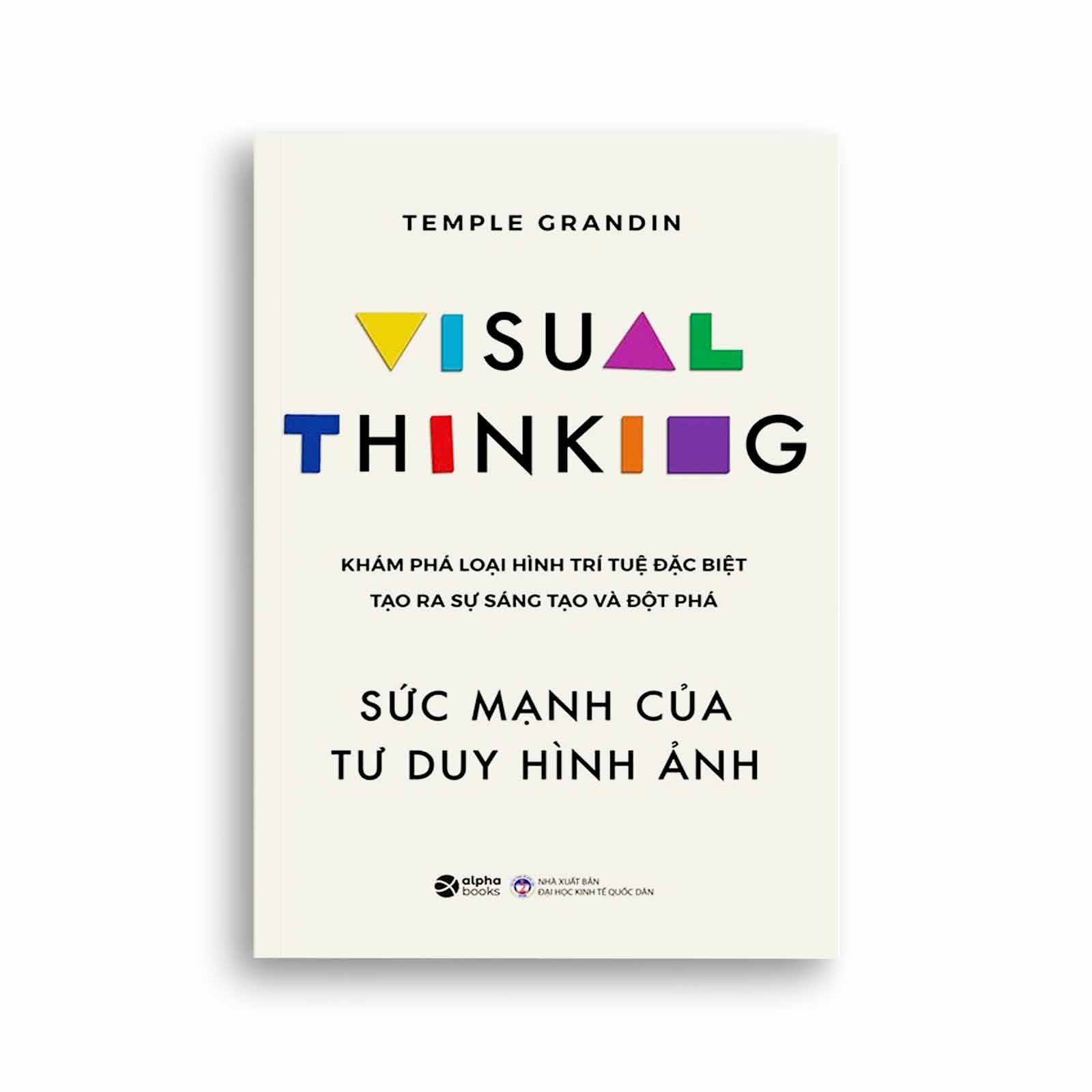 Visual Thinking - Sức Mạnh Của Tư Duy Hình Ảnh
