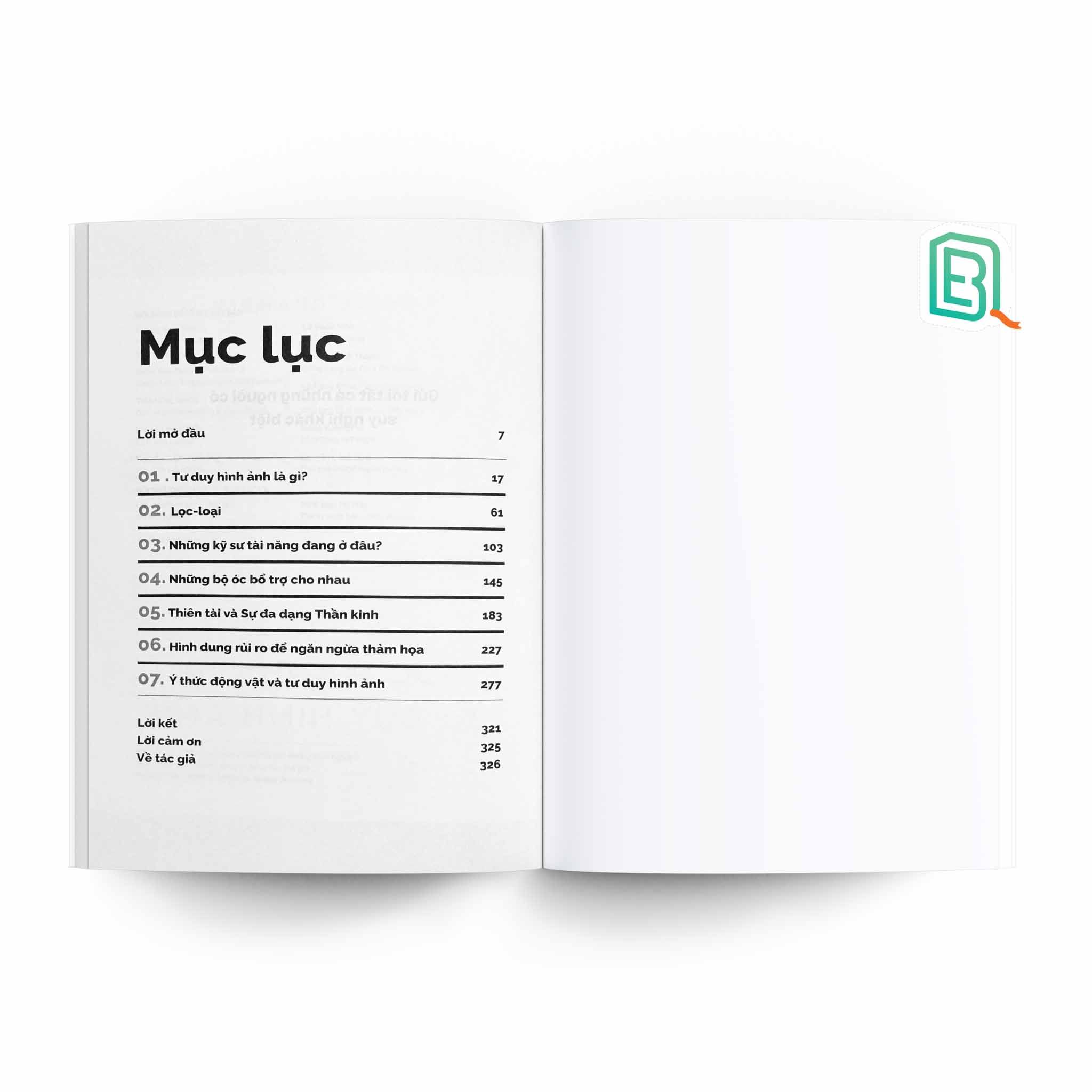 Visual Thinking - Sức Mạnh Của Tư Duy Hình Ảnh