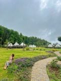  Lều Glamping 