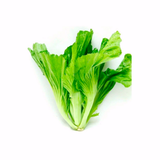  Cải Bẹ Xanh Organic 