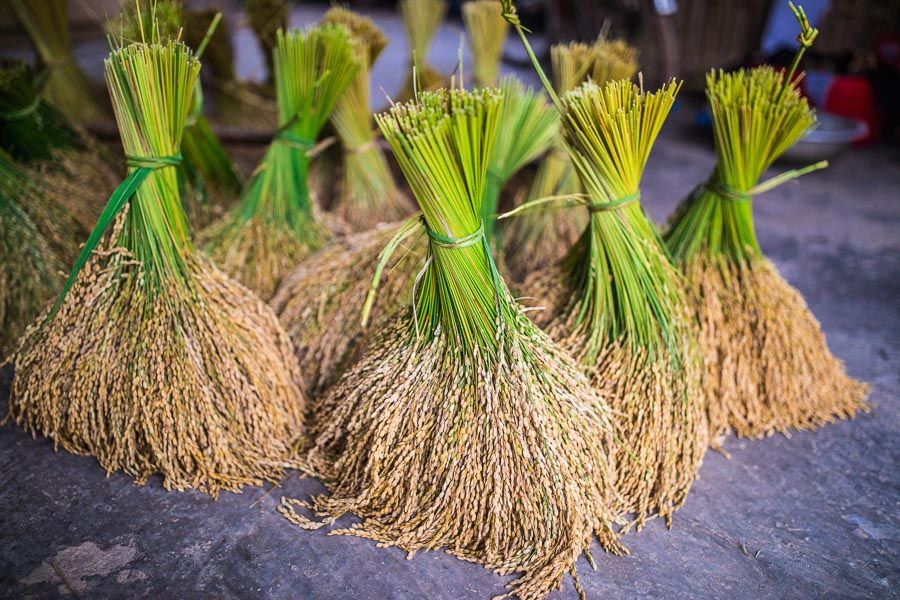 HA GIANG - TOP THINGS TO DO