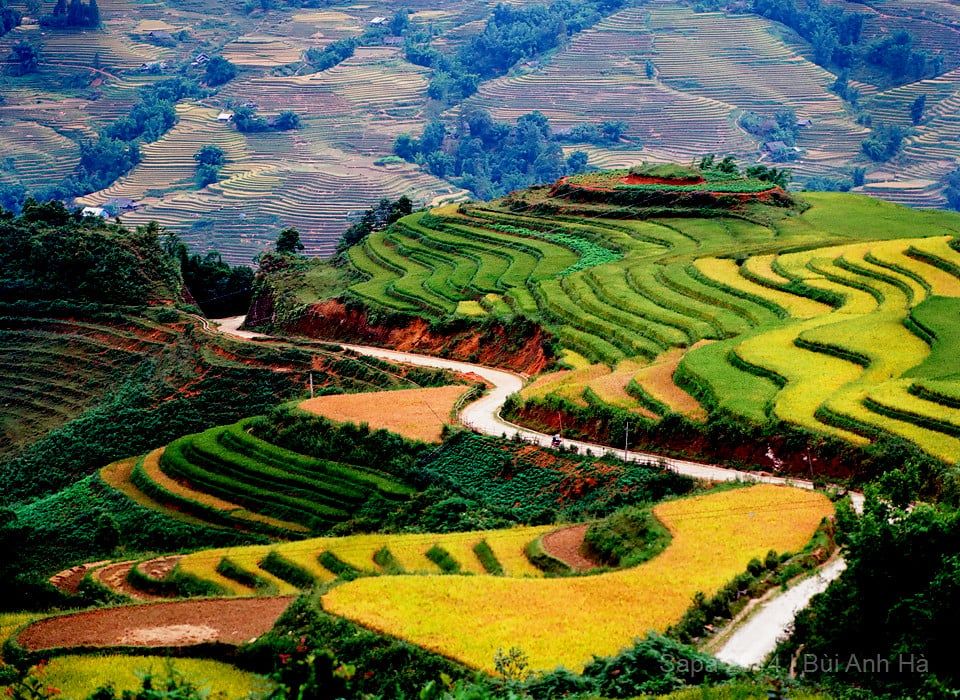 TOUR KHÁM PHÁ SAPA - HẠ LONG 4 NGÀY 3 ĐÊM