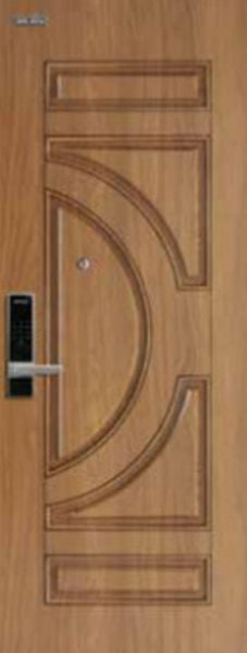 Cửa thép vân gỗ