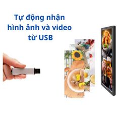 Màn hình LCD quảng cáo treo tường dọc| 24IPS-Vie