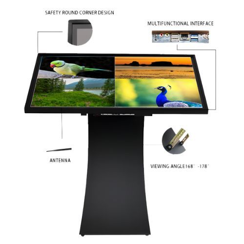 Màn hình quảng cáo LCD chân quỳ Back - 55Kblack