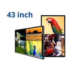 Màn hình quảng cáo cường lực treo tường 43CLAds