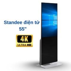 Standee điện tử 55 inch DS-F55 Black