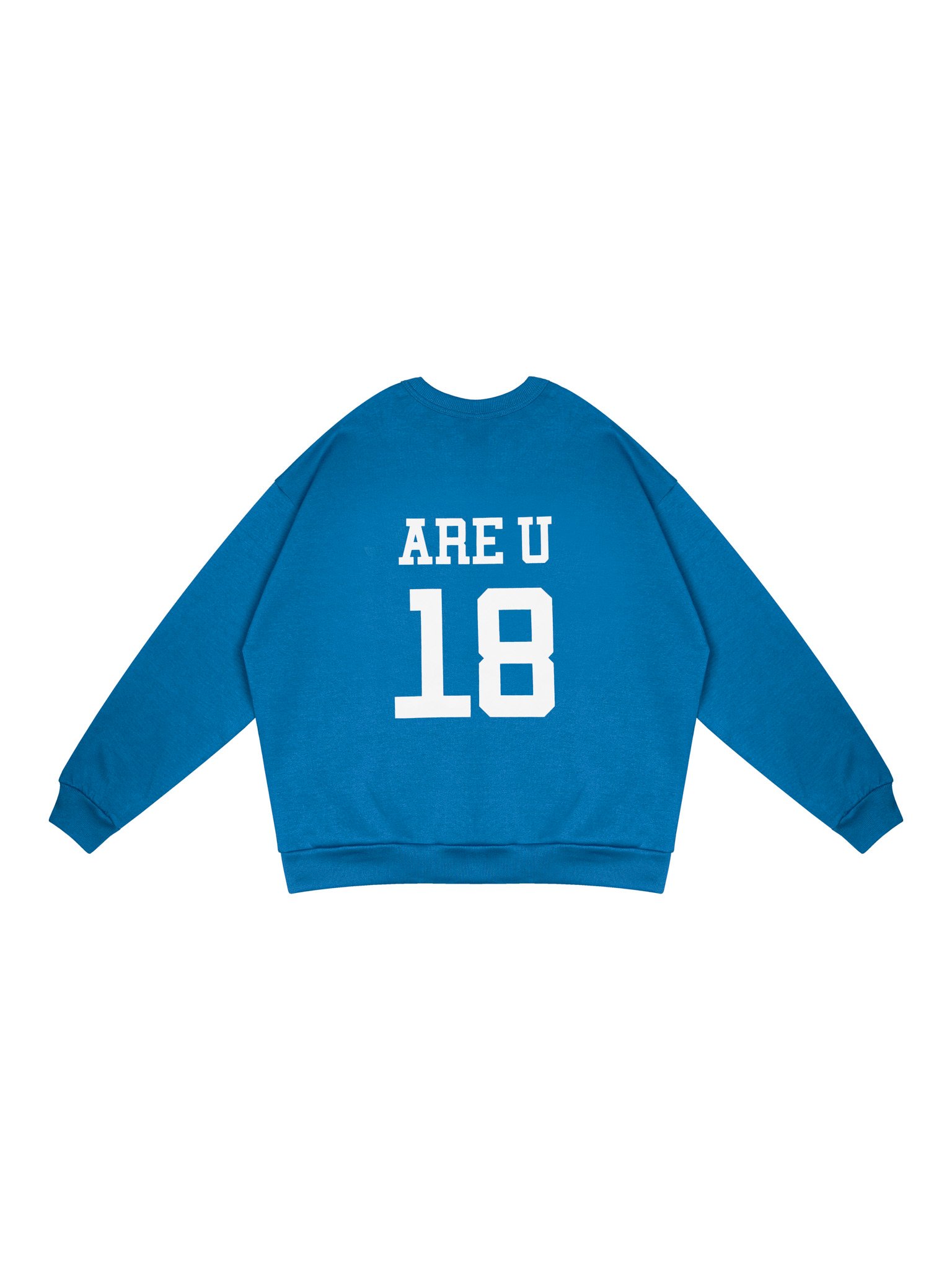  VSS Sweater (VSW04) 