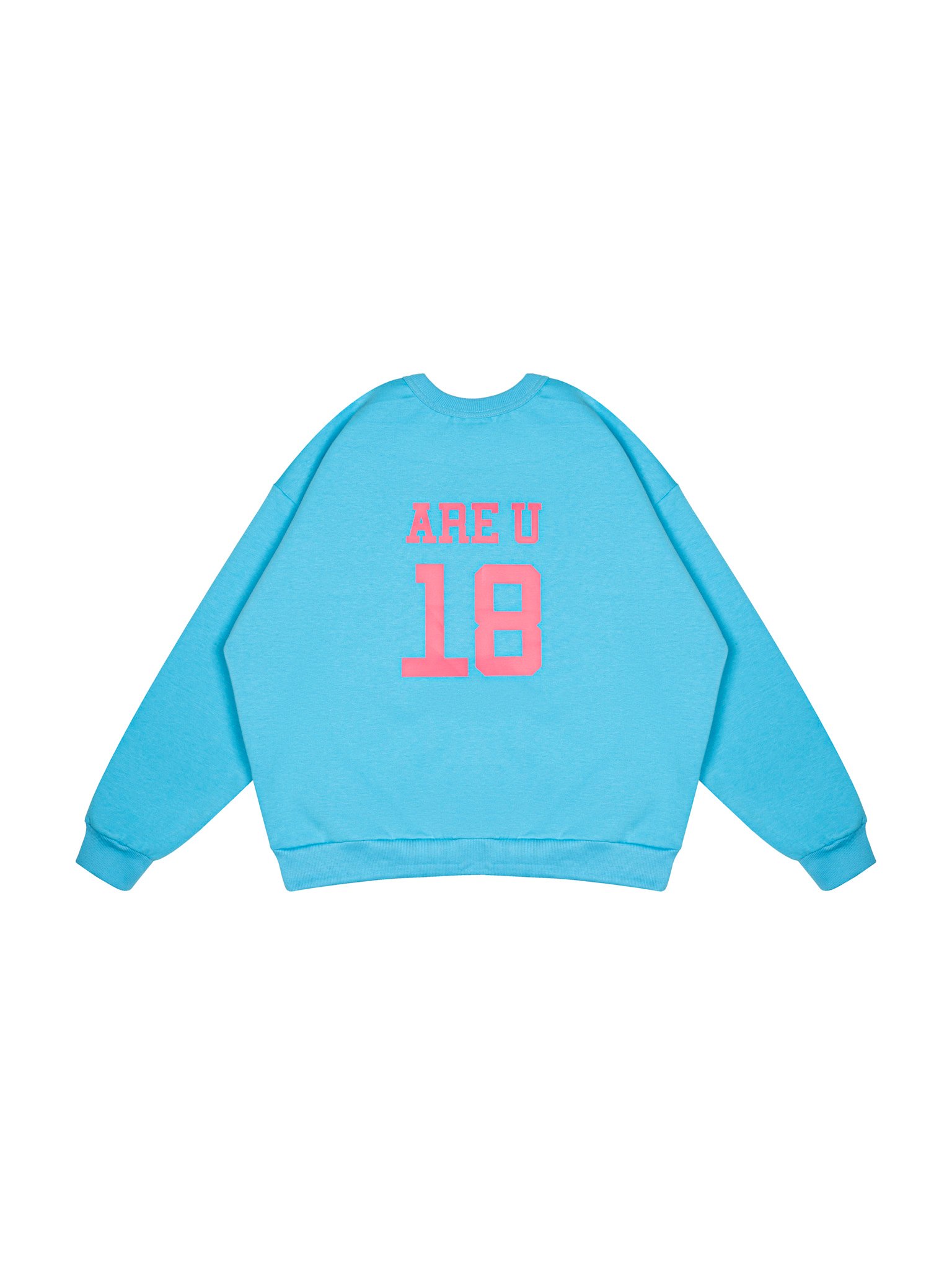  VSS Sweater (VSW04) 