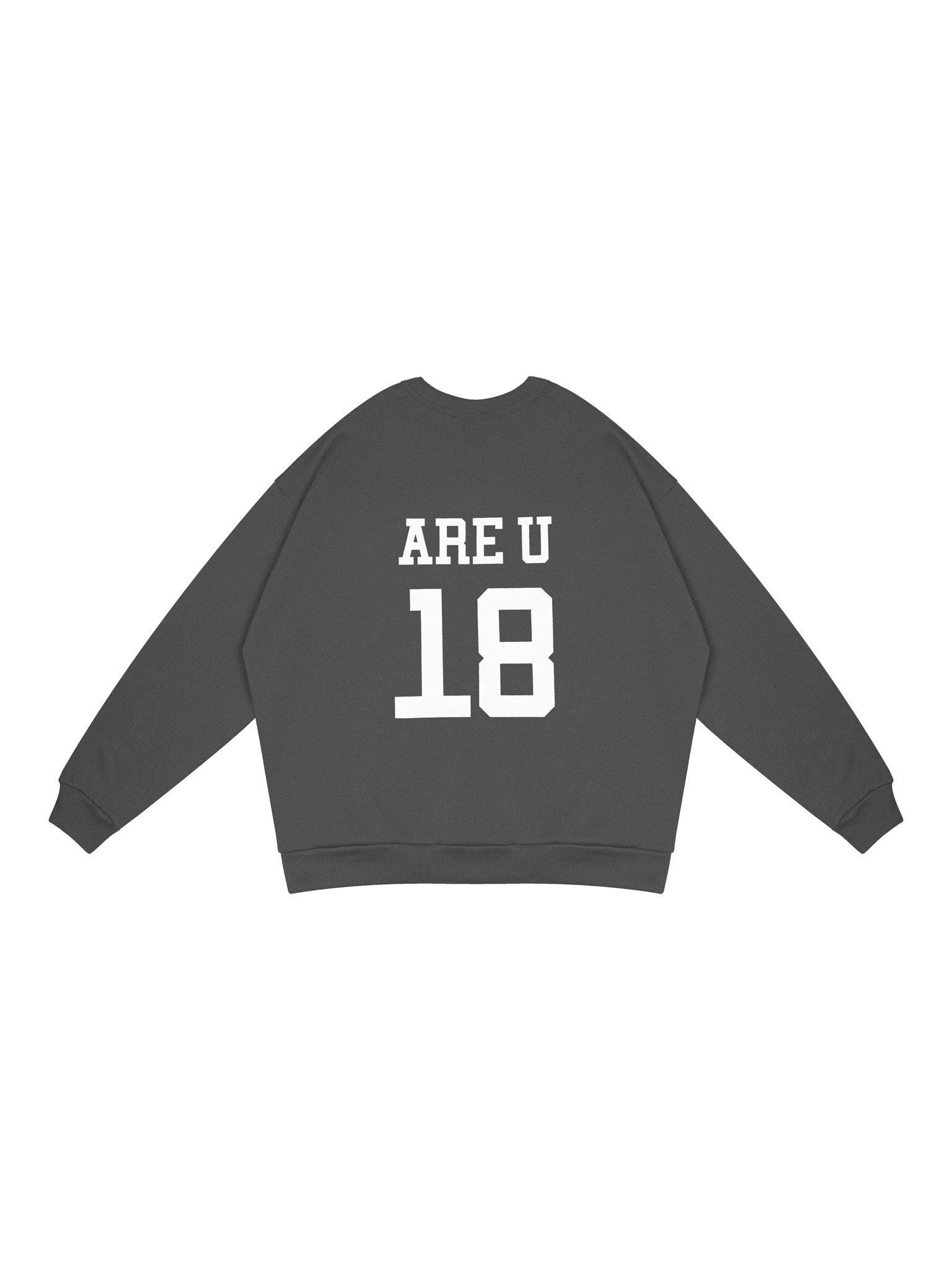  VSS Sweater (VSW04) 