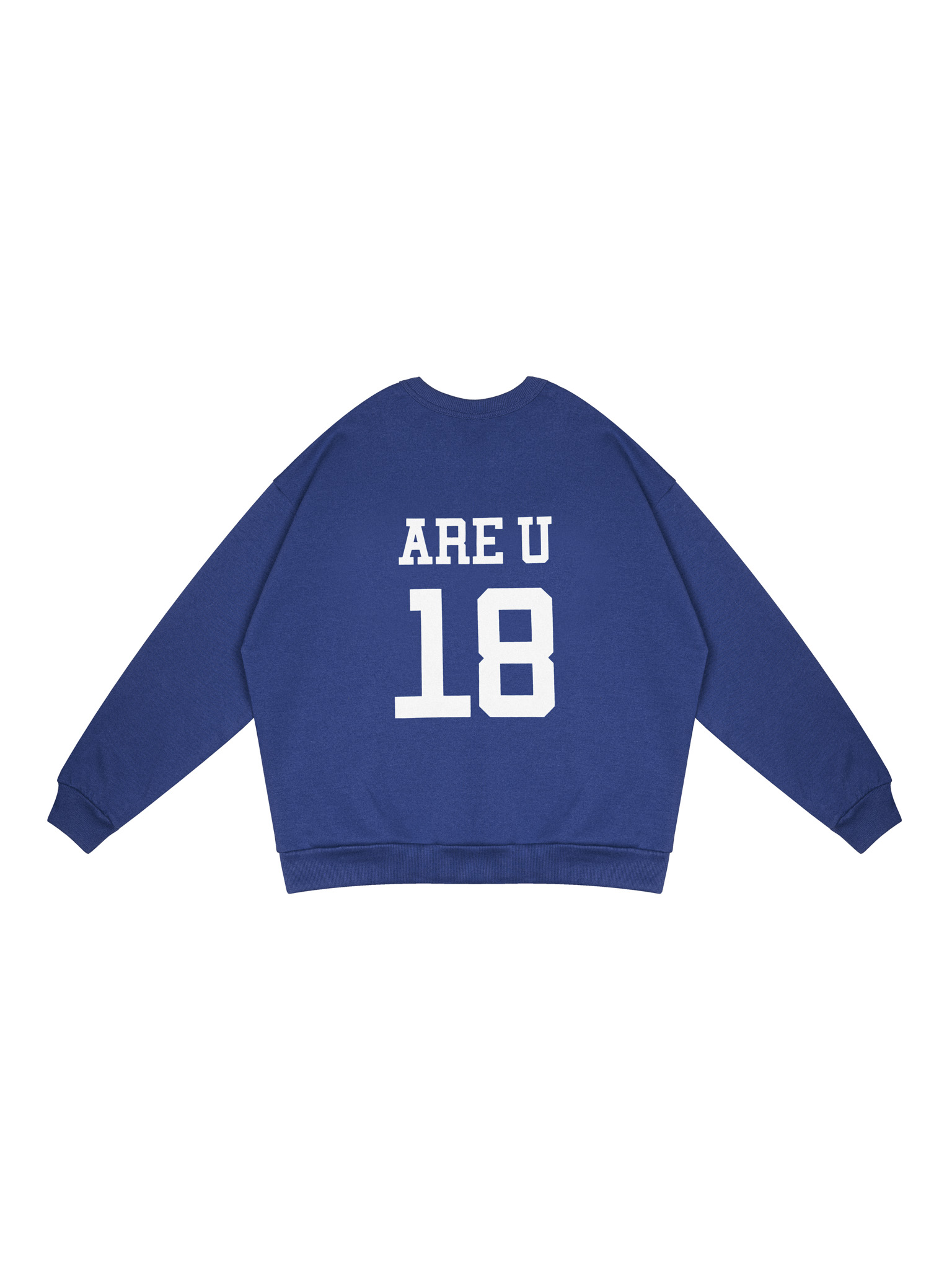  VSS Sweater (VSW04) 