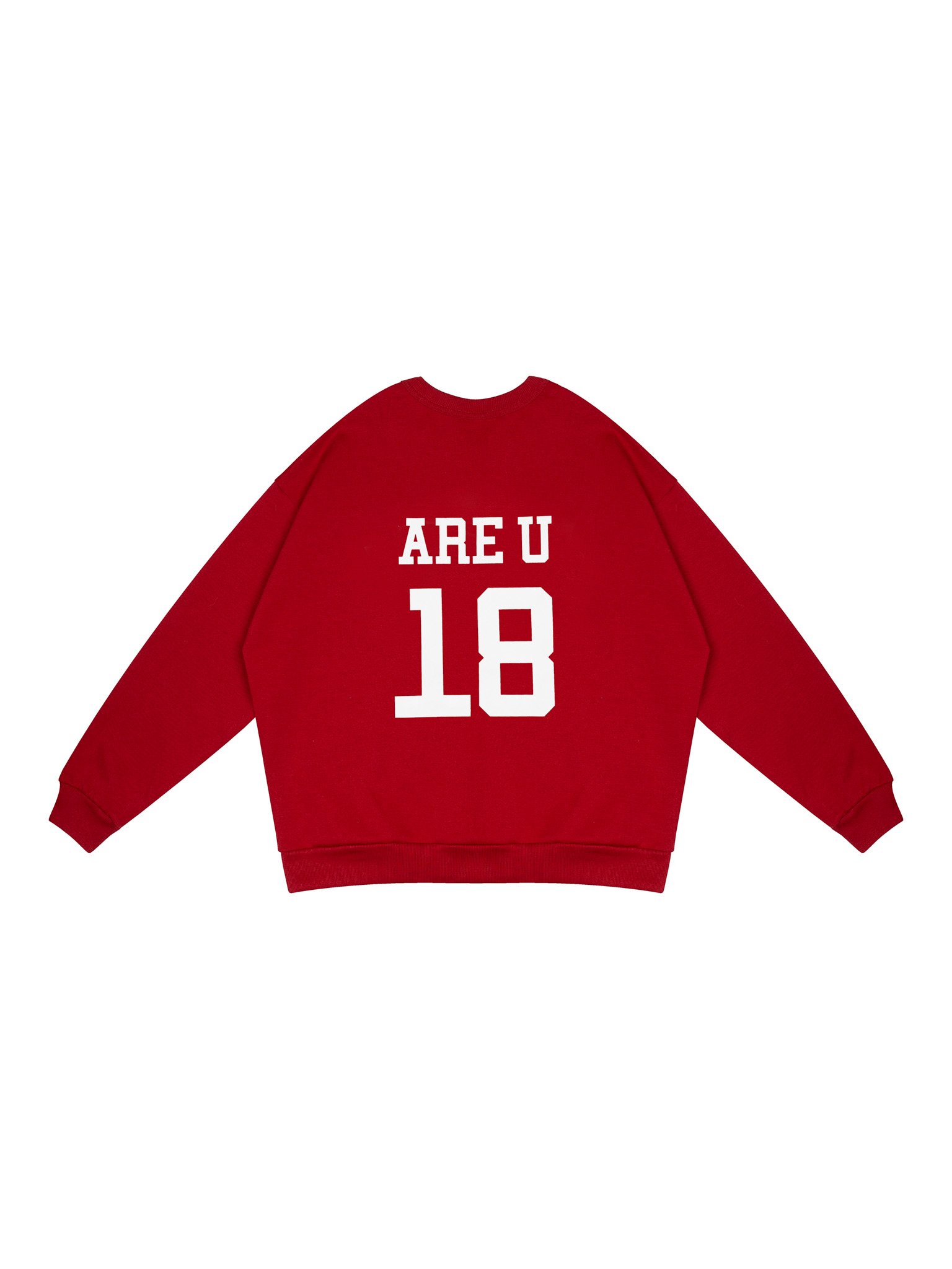  VSS Sweater (VSW04) 