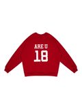  VSS Sweater (VSW04) 
