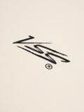  VSS Signature Logo T-shirt (VAT05) 