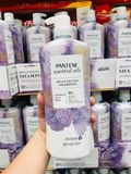  Dầu Gội Dưỡng Ẩm PANTENE Essential Oils Moisturizing Shampoo Lavender Oil & Basil 1.13 Lít 