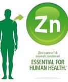  Viên uống bổ sung kẽm Nature’s Bounty Zinc 50mg 100 viên 