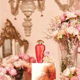  Nước Hoa Nữ The Merchant Of Venice Flamant Rose EDP 100ml 