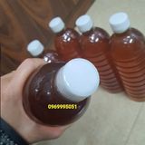  n Lâm Đồng] Mật Ong Hoa Cà Phê Chính Hiệu Nguyên Chất 1 Lít 