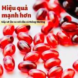  Viên Uống Dầu Nhuyễn Thể Krill Oil Kirkland Signature 160 Viên 