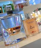  Nước Hoa Nội Địa Pháp Suddenly Fragrances ROSA Eau De Parfum 75ml 