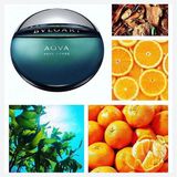  Nước Hoa Nam Bvlgari Pour Homme EDT 