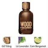  Nước Hoa Nam Wood Dsquared2, Edt Pour Homme, 5Ml 