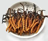  Viên Uống Chiết Xuất Đông Trùng Hạ Thảo Seedcoms Tăng Đề Kháng, Bồi Bổ Sức Khỏe 90 Viên Made In Japan 