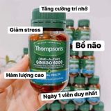  Viên Uống Bổ Não Thompson's Ginkgo 6000 Hàm Lượng Cao của Úc, 60 Viên 