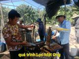  n Lâm Đồng] Mật Ong Hoa Cà Phê Chính Hiệu Nguyên Chất 1 Lít 