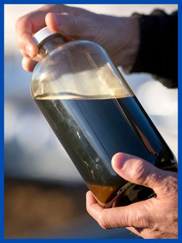  Cashew Shell Liquid CNSL Oil 