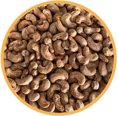  Roasted Cashew - A180 