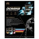  PVL PRE WORKOUT DOMIN8 40SER 